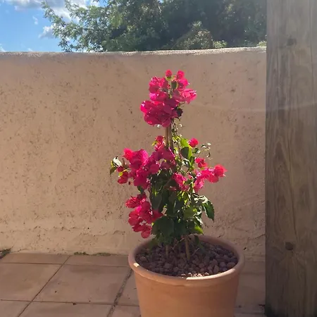 Apartment Santa Giulia Paradise