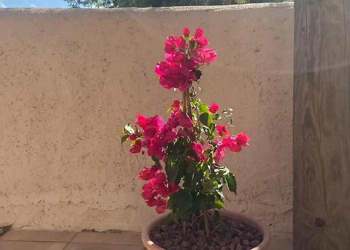 Appartement Santa Giulia Paradise